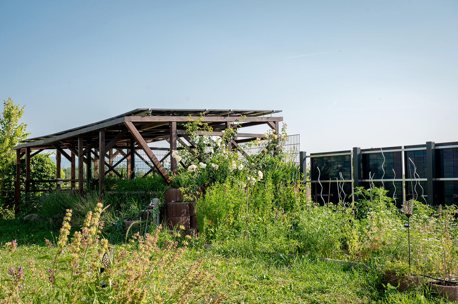Slide Image